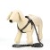 Set "braid", fluorescent, leash 115 x 1 cm, og 32-48 x 1.5 cm, black