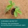 The circle is pro -barrel, d = 0.2 m, from the coconut canvas, Greengo
