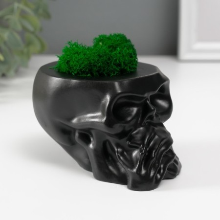 Kashpo concrete "Skull Silence" with moss 6.5x10 cm black (moss green stabilized)-1