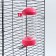 Drill for a cage, 400 ml, 9 x 6 x 20 cm, pink