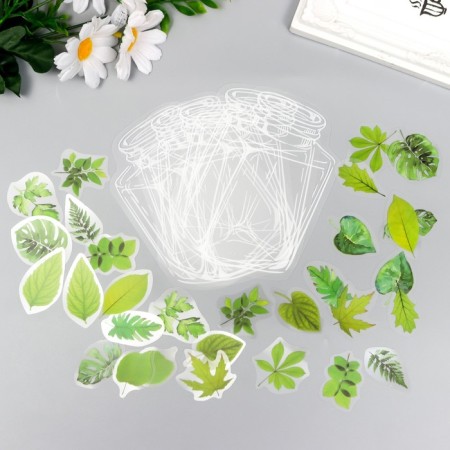 Stickers for creativity "Leaves in the Bank" set 35 pcs 12.5x9.1 cm
