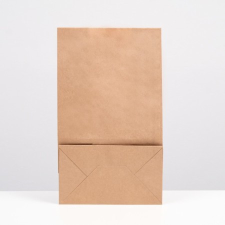 Craft package Pack Pack, rectangular bottom, with an adhesive tape of 24 x 14 x 40 cm-2