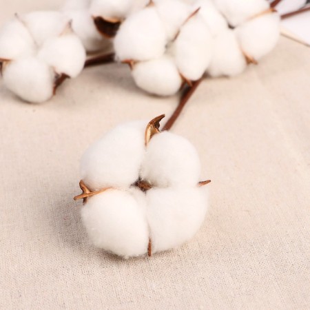 Sukhotzet "Cotton" D-5 cm, 30 cm, white-1