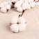 Sukhotzet "Cotton" D-5 cm, 30 cm, white