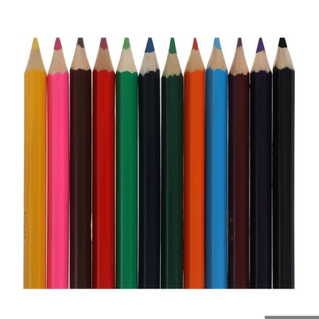 Pencils 12 flowers Calligrata, mini in a cardboard box-1