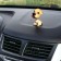 Dog on a car panel shocking his head, Wales Terrier
