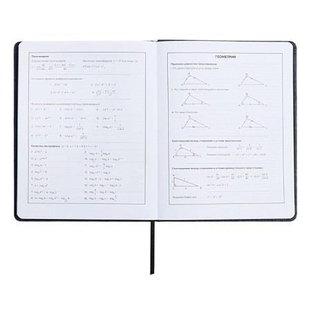 School diary for grades 1-11 “Owl Girl”, hard cover, artificial leather, “soft-tach”, lies, 48 ​​sheets, universal cheat sheet, block 80g/m2-8