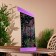 Interior stand "Boat" Albezia 30x22x65 cm