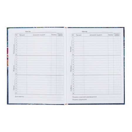 Universal diary for grades 1-11, "kittens in pockets", solid cover 7BC, glossy lamination, 40 sheets-8