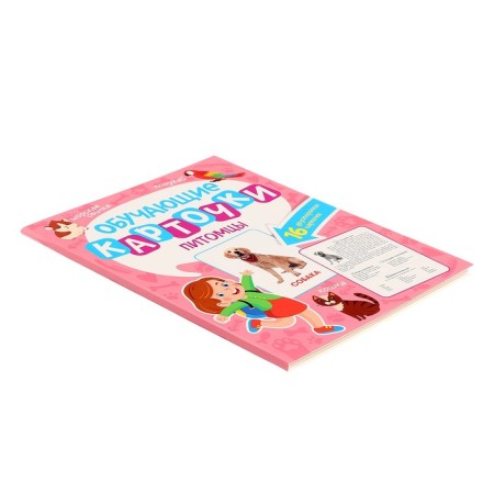 Training cards "Pets"-2