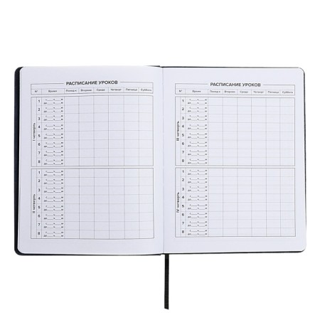 Universal Grade 1-11 Diary, 48 sheets "Joystick", a solid cover of artificial leather, applique, pancake embossing, lisse, universal cheat sheet, block 80 g/m2-6