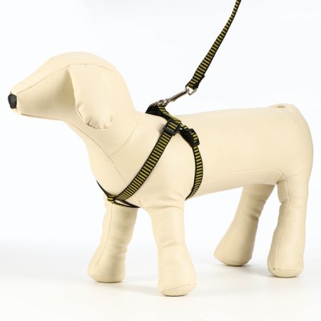 Acunition set is relief, leash 120 x 1.5 cm, OG 36-49 cm, yellow-black-2