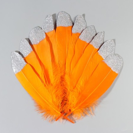 A set of goose feathers 15-20 cm, 10 pcs, orange with silver crumb-1