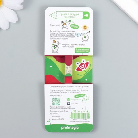 Growing gift pencils mini "clove"-1