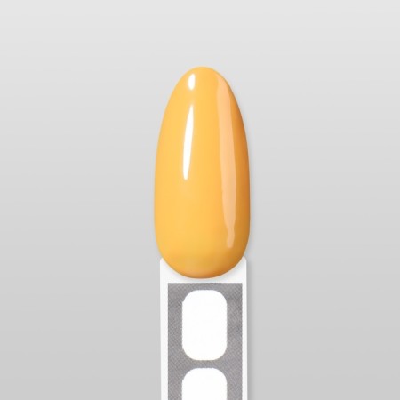 Simple nail polish gel, 3 phase, 10 ml, led/uv, color (207)-15