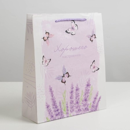 Gift laminated package, packaging, Special for You, Ml 21 x 25 x 8 cm-2