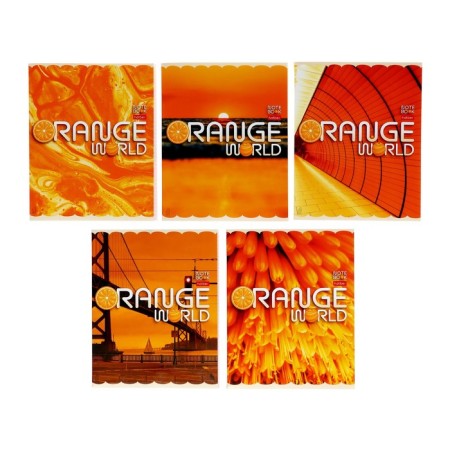 A notebook of 96 sheets in the cage "Orange world!", Cover coated cardboard, block 65g/m2, mix