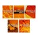 A notebook of 96 sheets in the cage "Orange world!", Cover coated cardboard, block 65g/m2, mix