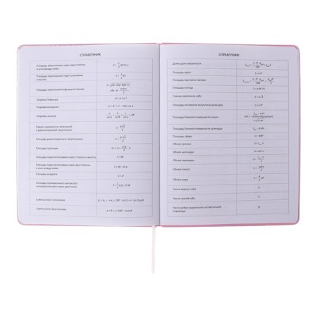 Universal diary for grade 1-11 Bear King, solid cover, artificial leather, foam rubber, silkography, liesse, 80 g/m2-8