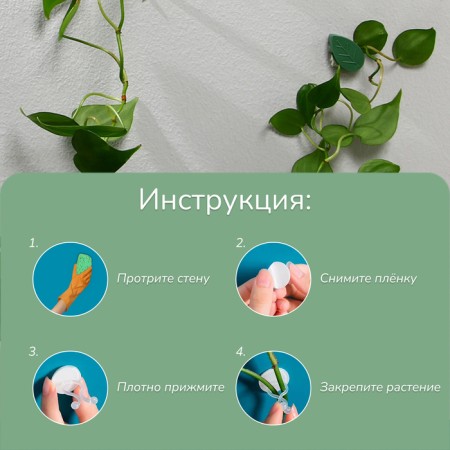 Mounts for climbing plants, 3*2.1 cm sheet (set10 pcs) self -adhesive-4