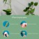 Mounts for climbing plants, 3*2.1 cm sheet (set10 pcs) self -adhesive