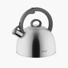 A kettle with a whistle, 2.9 l