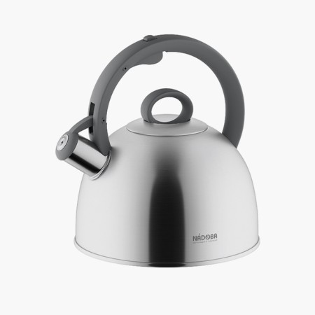 A kettle with a whistle, 2.9 l