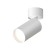 DK2029-WH Patch Light for a change of lamp Tube, IP20, 15W, GU10, White, aluminum
