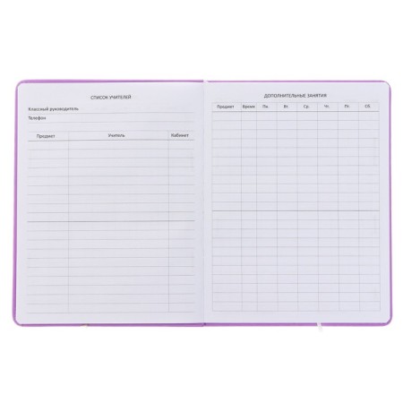 Universal Diary 1-11 grade "I am in order", solid cover, artificial leather, silk-screen printing, lies, block 80 g/m2-3
