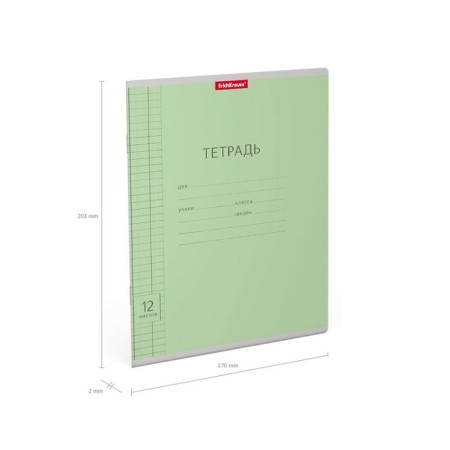 Notebook of 12 sheets in the Erichkrause “Classic”, cover coated cardboard, offset block, whiteness 100% whiteness, green-3