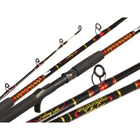 Trolling spinning Salmo Power Stick Trolling Cast XH, test 50-100 g, length 2.4 m.-5
