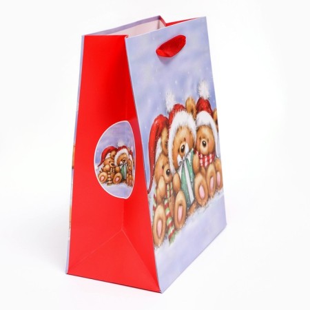 Gift, laminated, "cubs" package, 18 x 23 x 10 cm-2