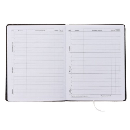 Universal Diary of 1-11 class No Fear, hard cover with foam rubber, artificial leather, lies, block 80 g/m2-4