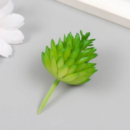 Artificial succulent for creating a florarium "Mogles" d = 4 cm-1
