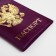 Cover for passport, lilac color