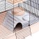 Cage for chinchilla "Pijon" No. 19, collapsible, 58 x 40 x 49, beige