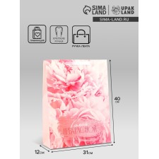 Gift laminated vertical “The most beautiful”, l 31 × 40 × 12 cm