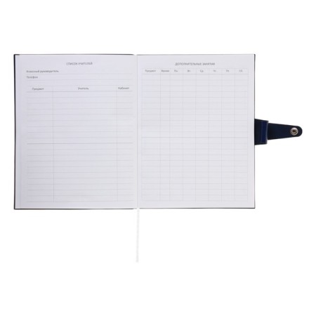 Universal diary for grade 1-11 Favorite, soft cover, button, artificial leather, foil embossing, refrain, lies, 48 ​​sheets-18