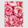 Polyethylene package with a trim “Piono”, pink, 30x40 cm, 50 μm, set 5 pcs