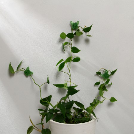 Mounts for climbing plants, 4*4 cm butterfly (set 10 pcs) self -adhesive-2