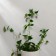 Mounts for climbing plants, 4*4 cm butterfly (set 10 pcs) self -adhesive