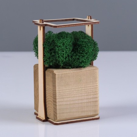 Kashpo Composition with Moss "Briovud", stabilized moss: Forest Green (Green Forest)-4