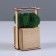 Kashpo Composition with Moss "Briovud", stabilized moss: Forest Green (Green Forest)