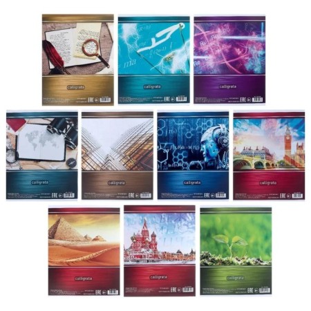 A set of subject notebooks of 48 sheets “Metal”, 10 items, with reference material, covered cardboard, block No. 2, whiteness 75% (gray sheets)-9