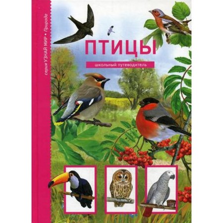 Birds. Find out the world. Dunaeva Yu.A.