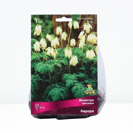 Doculter Beautiful Aurora, Rr. I, 1 pc, spring 2025