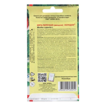 Mint seeds "Khilok"-1