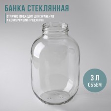 Glass Bank, 3 L, TO-82 mm