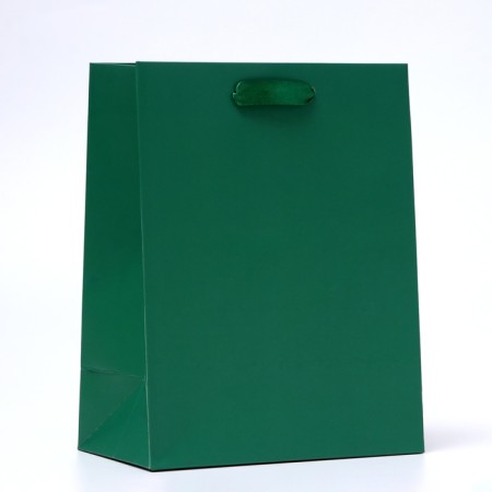 Laminated Green Packet, 18 x 23 x 10 cm-2