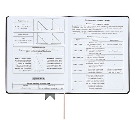 Universal diary for grades 1-11 Lenta, solid cover of artificial leather, applique, silkography, liesse, 48 sheets, black-9